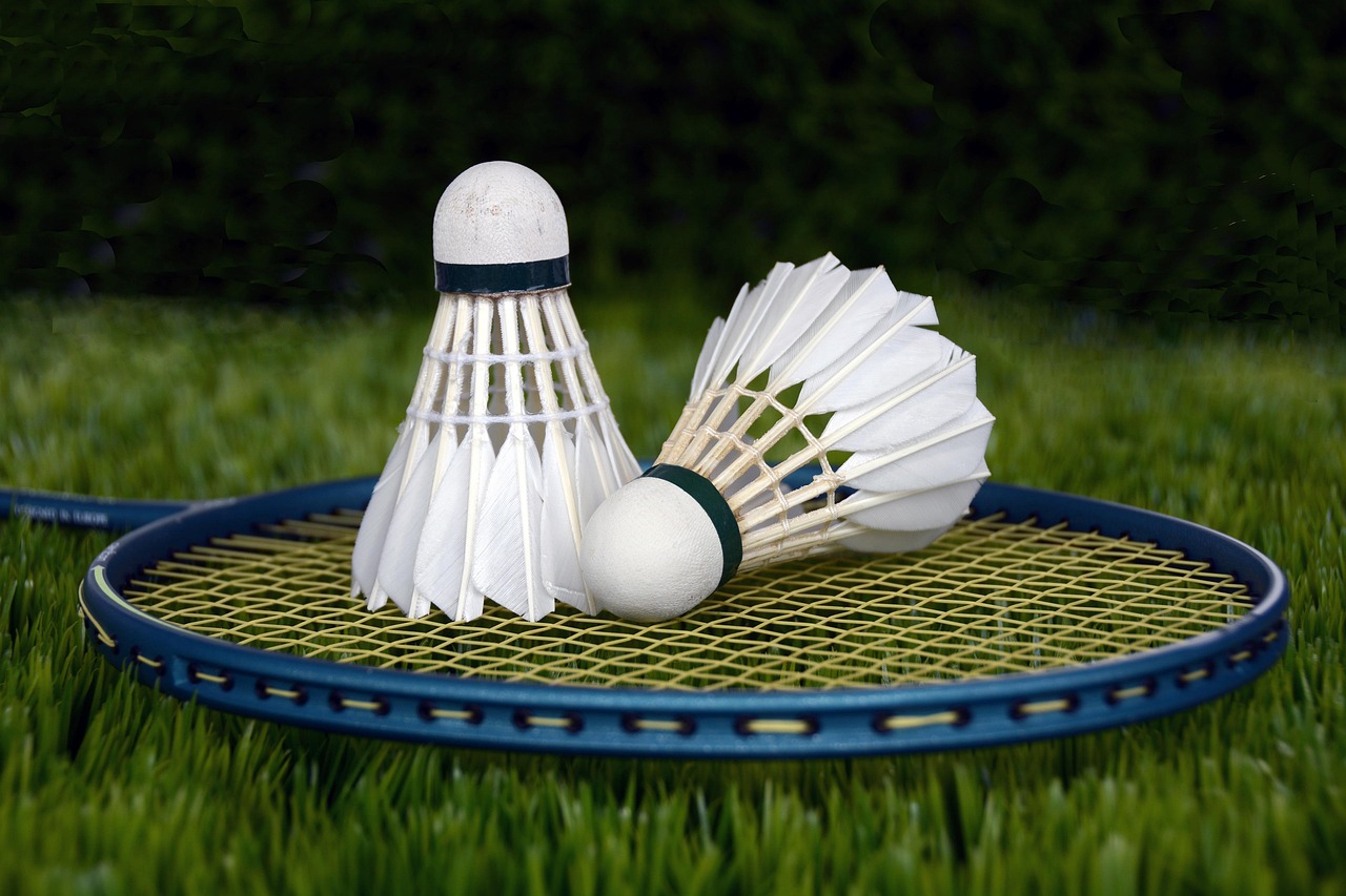 Racket met 2 veren shuttles